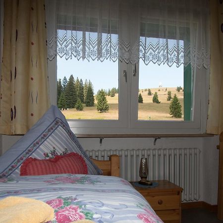 Berggasthof-Pension Todtnauer Hutte Фельдберг Екстер'єр фото