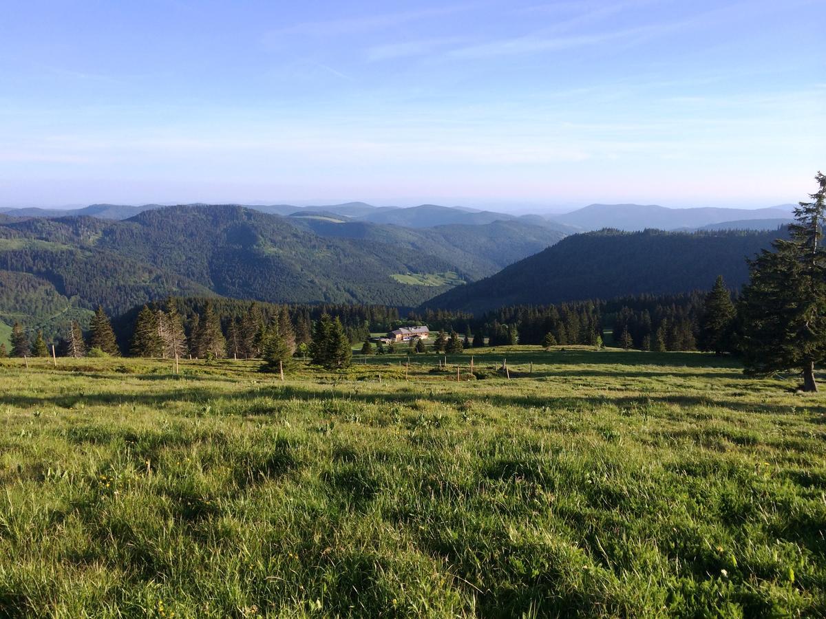 Berggasthof-Pension Todtnauer Hutte Фельдберг Екстер'єр фото