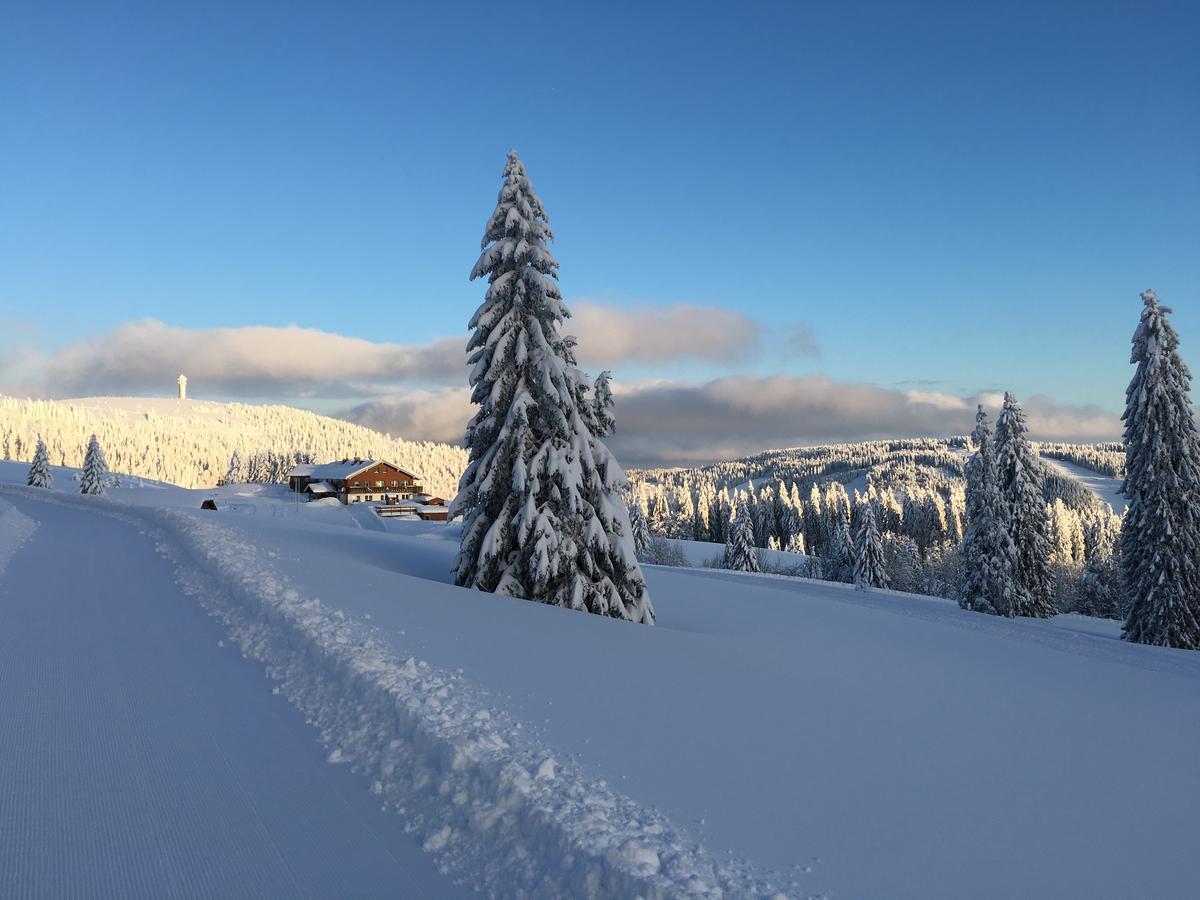 Berggasthof-Pension Todtnauer Hutte Фельдберг Екстер'єр фото