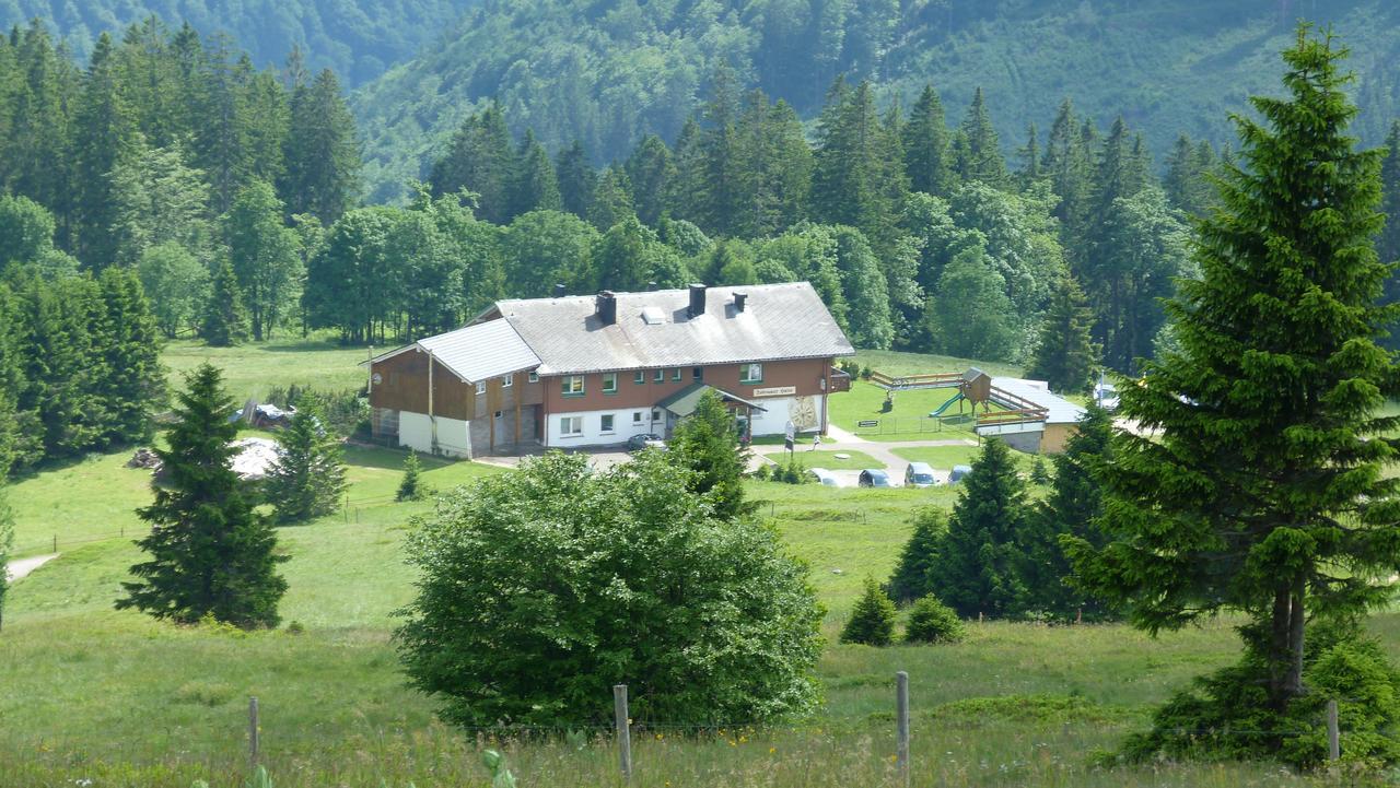 Berggasthof-Pension Todtnauer Hutte Фельдберг Екстер'єр фото