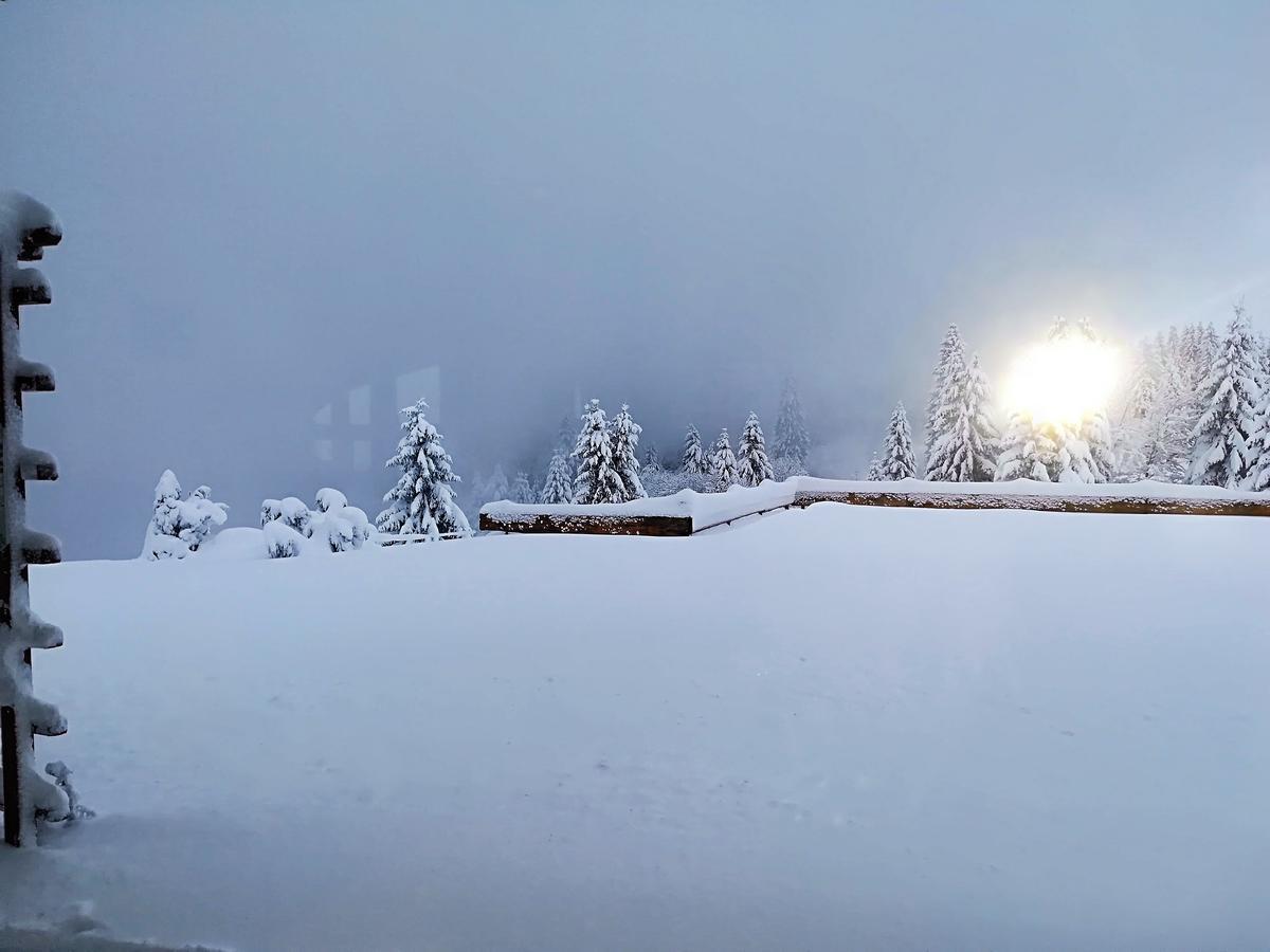 Berggasthof-Pension Todtnauer Hutte Фельдберг Екстер'єр фото