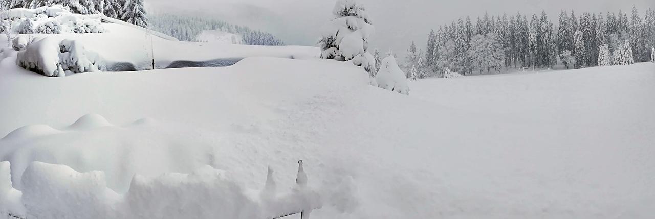 Berggasthof-Pension Todtnauer Hutte Фельдберг Екстер'єр фото